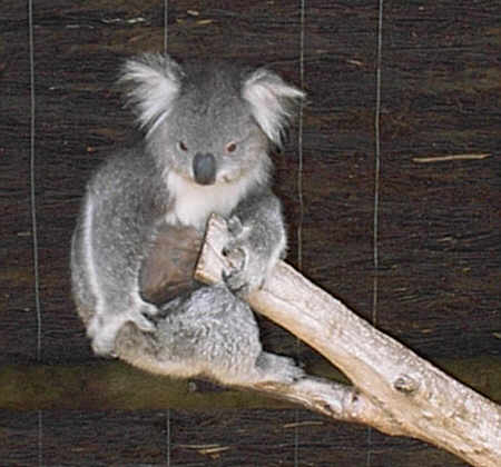 Wildlife Park Ballarat