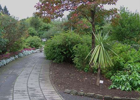 Botanische Garten Reykjavik