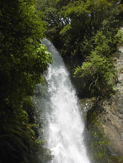 Wairoa Wasserfall