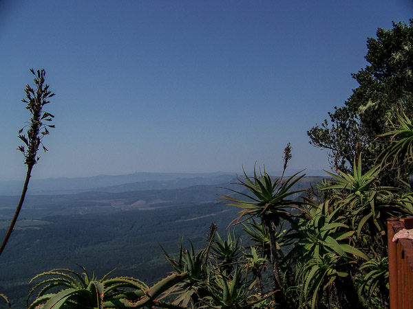 Panoramaroute - Blick vom Gottesfenster in Regenwald