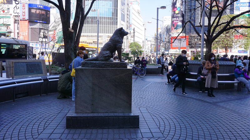 Tokyo Hachiko Square