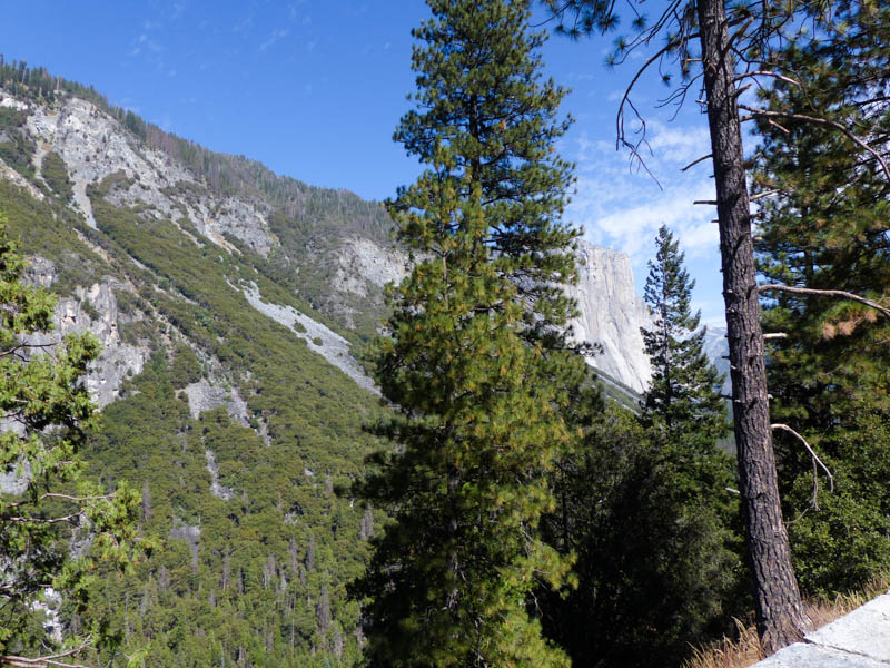 Yosemite NP Inspirationspunkt